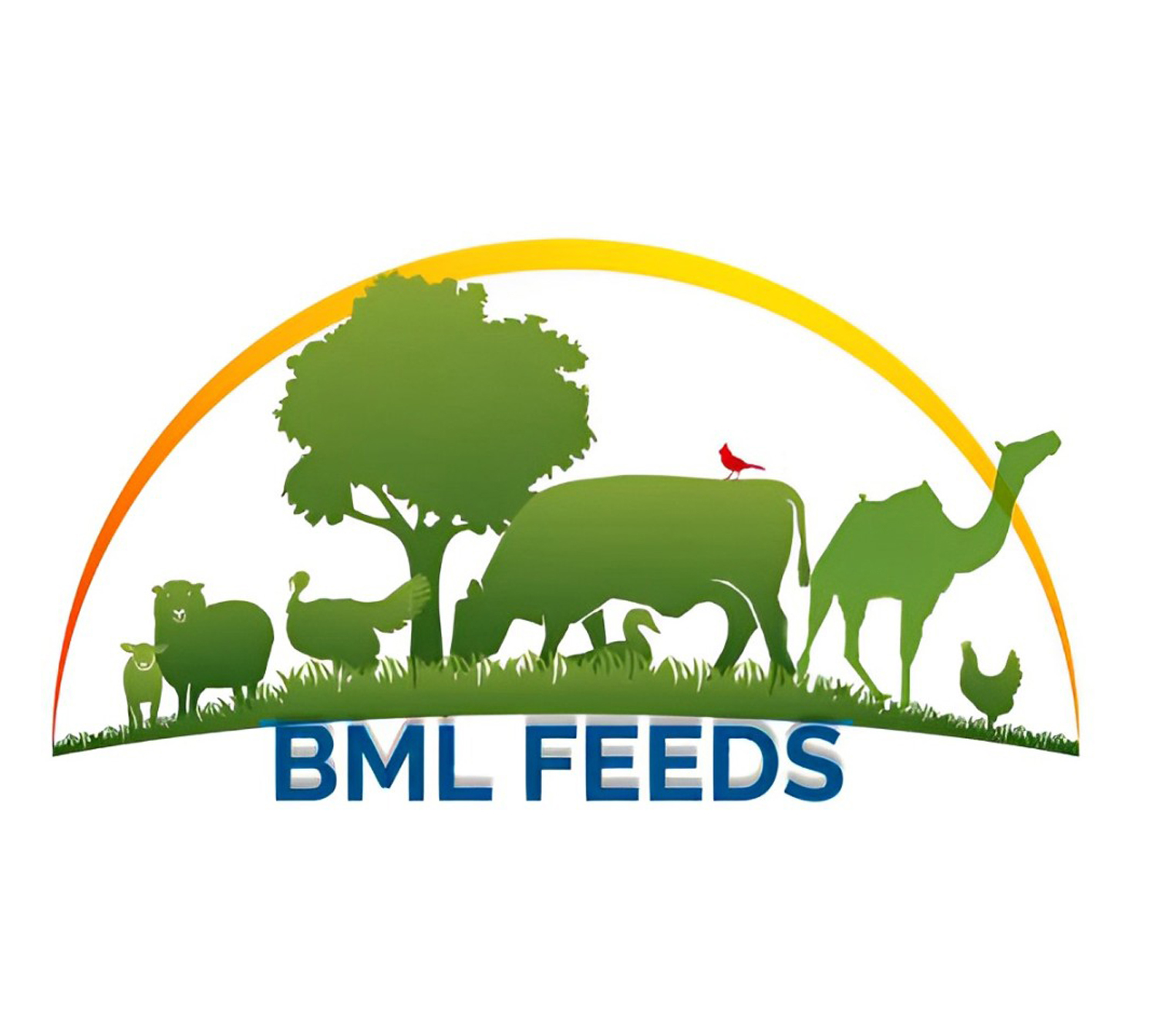 BML FEEDS