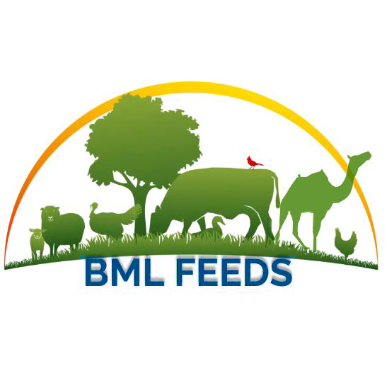 BML FEEDS